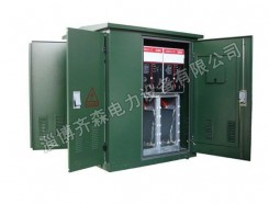 帶開(kāi)關(guān)電纜分支箱